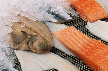 Fish Seafood Freezing